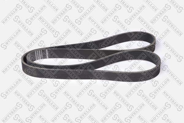 V-ribbed Belt 08-01538-SX