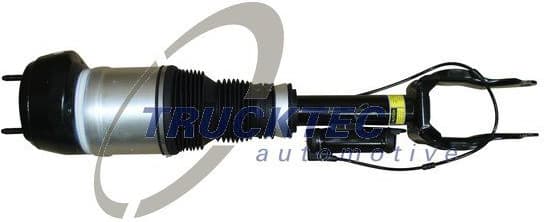 Air Suspension Strut 02.30.362