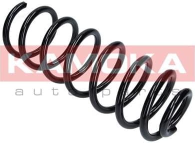 Suspension Spring 2120298 - image 8