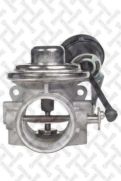 EGR Valve 01-25031-SX