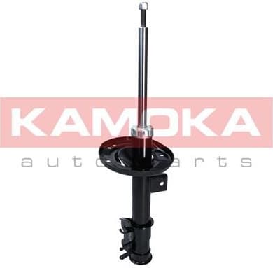 Shock Absorber 2000144