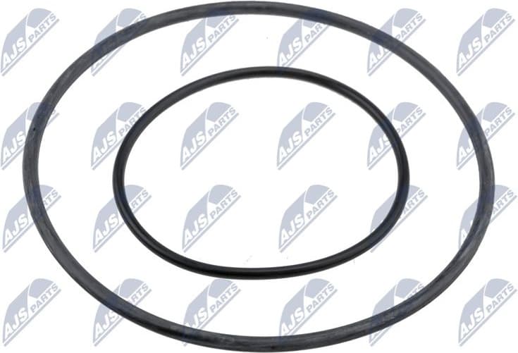 Seal Ring, nozzle holder PVP-BM-001