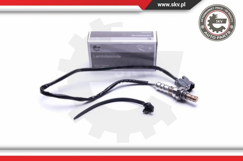 Oxygen Sensor 09SKV123
