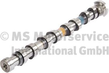 Camshaft 50007853
