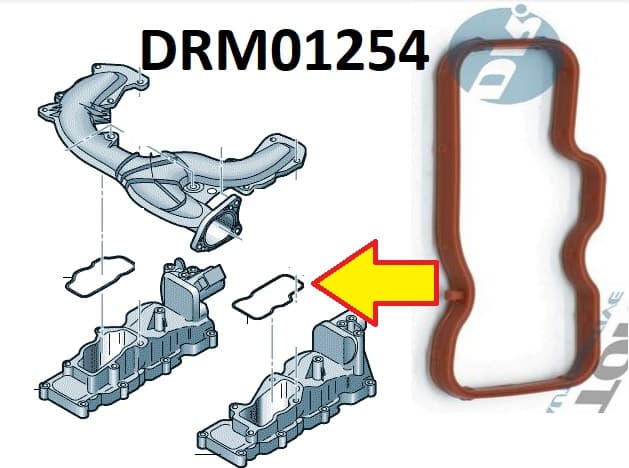 Gasket intake manifold DRM01254