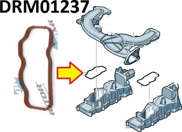 Gasket intake manifold DRM01237