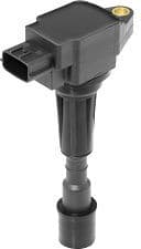 ritė, uždegimas - image 3