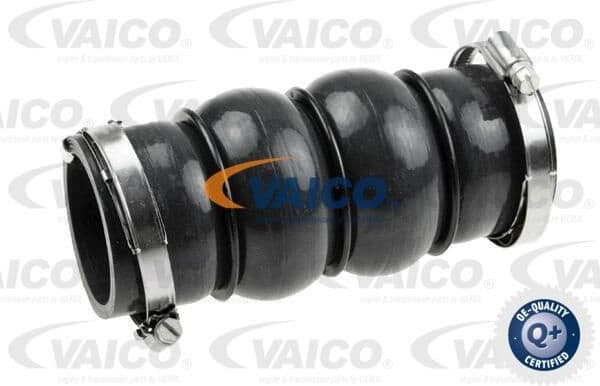 Charge Air Hose Original VAICO Quality V420579