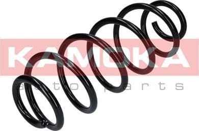 Suspension Spring 2120277 - image 5