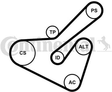 V-ribbed Belt Set 6PK1725K2