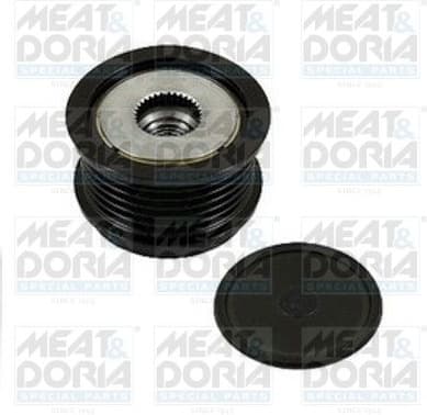 Alternator Freewheel Clutch 45231