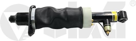 Air Suspension Strut 66160001101