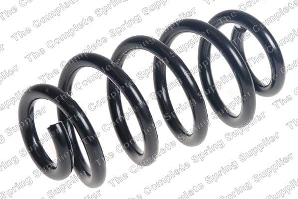 Suspension Spring 4208517