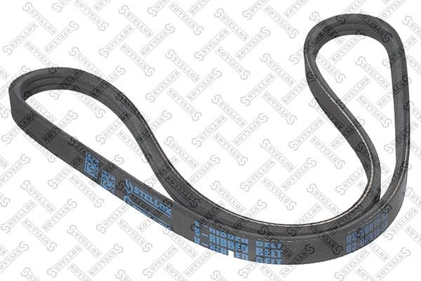 V-ribbed Belt 03-00815-SX