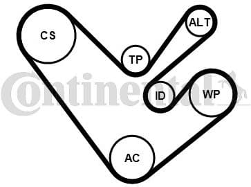 V-ribbed Belt Set 6PK1555K4