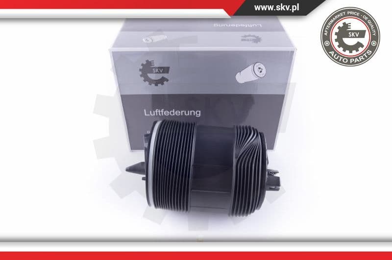 Air Spring, suspension 58SKV032