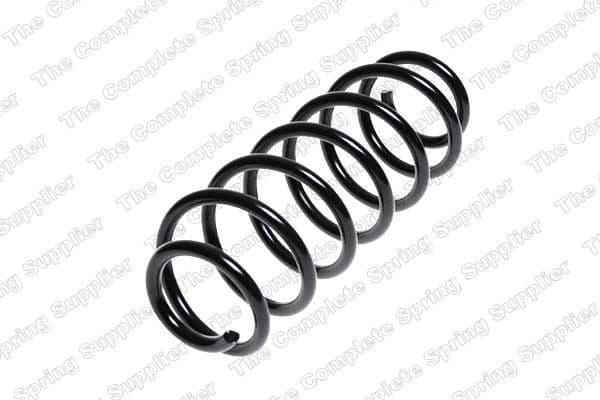 Suspension Spring 4204248