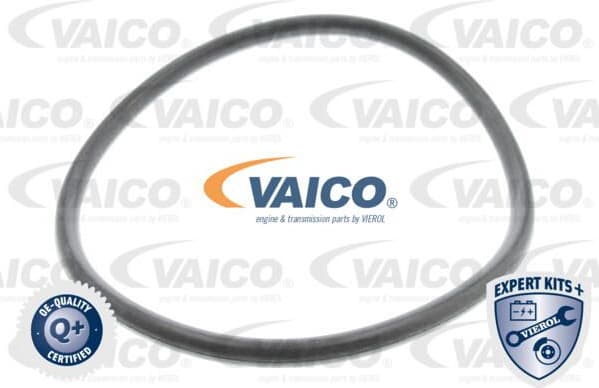 Hydraulic Filter, automatic transmission EXPERT KITS + V10-0440-1 - image 3