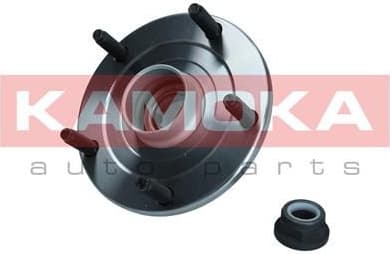 Wheel Bearing Kit 5500252