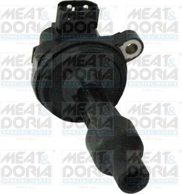 Ignition Coil 10679