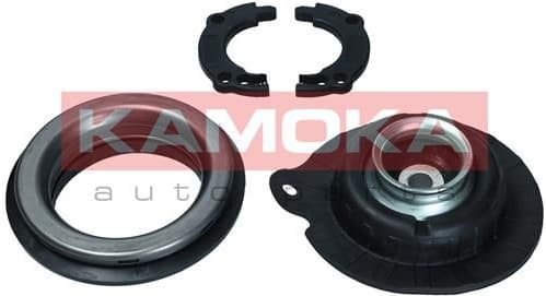 Strut mounting with bearing 209221
