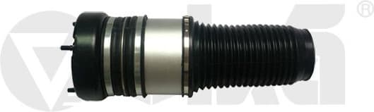 Air Suspension Strut 66160002301