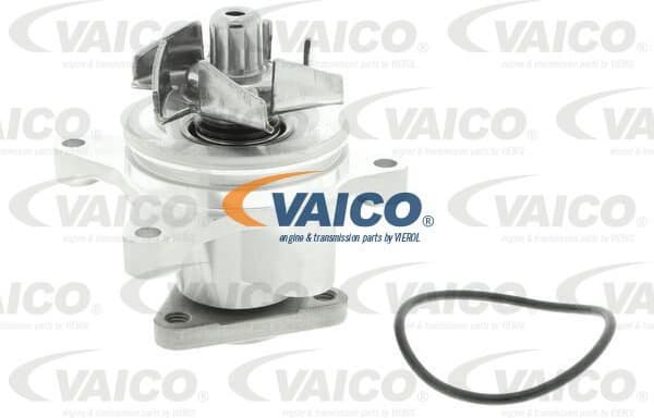 Water Pump, engine cooling Original VAICO Quality V25-50013