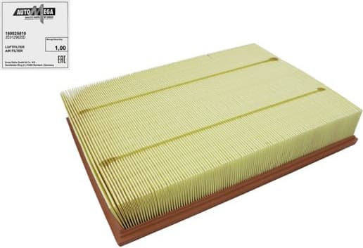 Air Filter 180025810