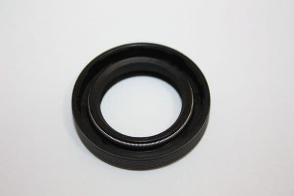 Shaft Seal, manual transmission main shaft 190014110