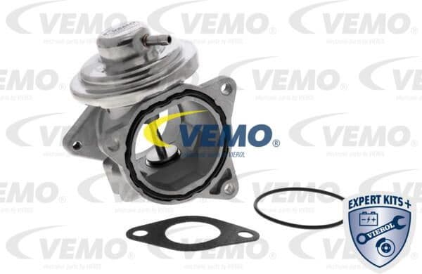 EGR Valve EXPERT KITS + V10-63-0011-1