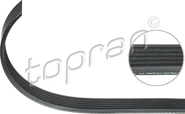 V-ribbed Belt 109 866