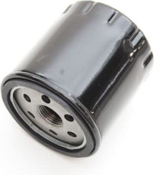 Oil Filter 180043310