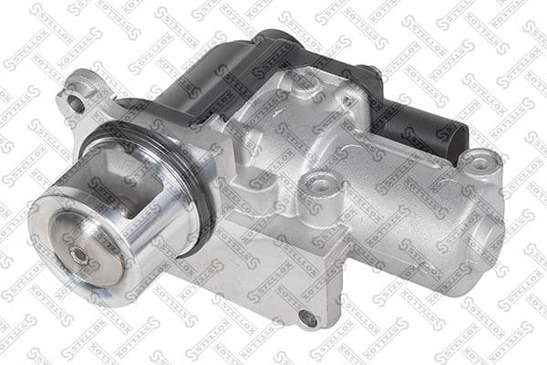 EGR Valve 01-25038-SX