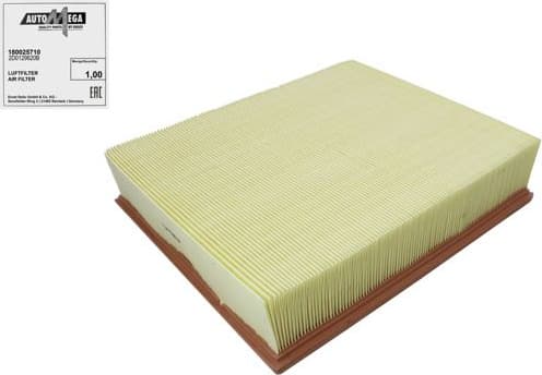Air Filter 180025710