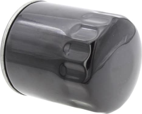 Oil Filter 210006610 - image 2