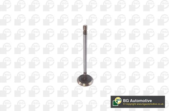 Intake Valve V611981