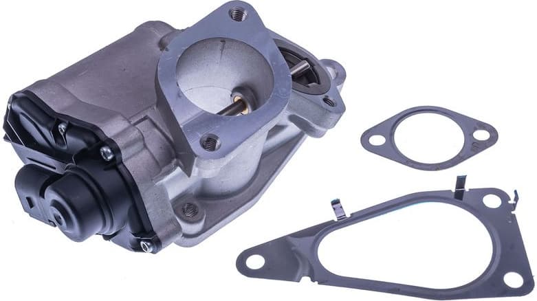 EGR Valve E400060