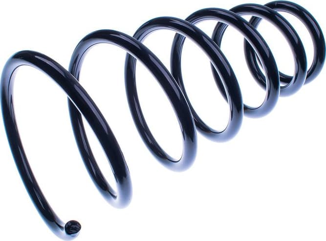 Suspension Spring D700121