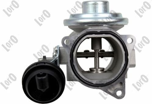 EGR Valve LORO 121-01-031
