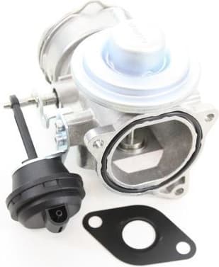 EGR Valve 140009910