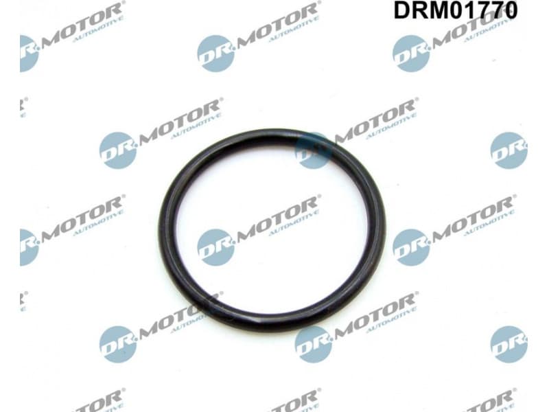 Gasket, intake manifold DRM01770