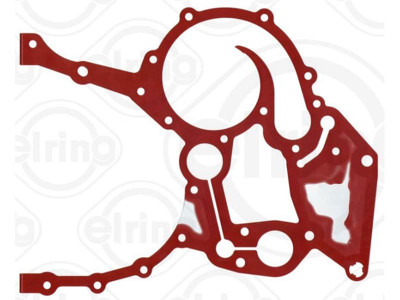 Gasket, timing case 567.290