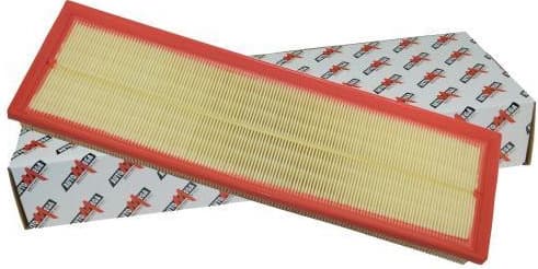 Air Filter 180024710