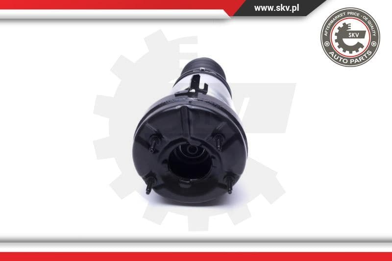 Air Suspension Strut 58SKV070 - image 2