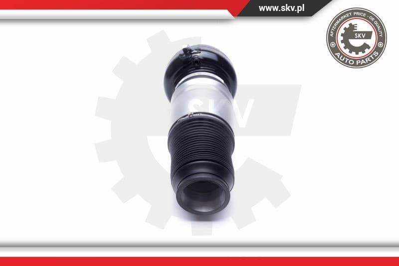 Air Suspension Strut 58SKV070 - image 3