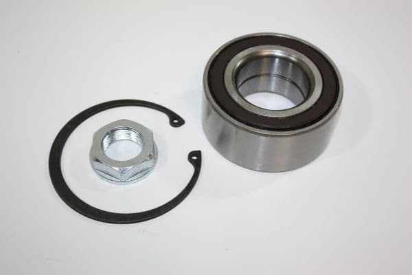 Wheel Bearing Kit 110124510