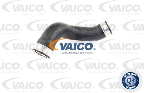 Charge Air Hose Q+, original equipment manufacturer quality V30-1789