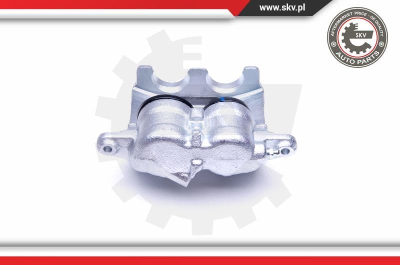 Brake Caliper 46SKV031