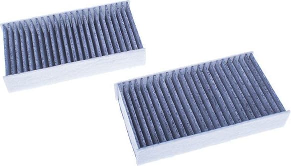 Filter, cabin air M110879K