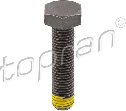Flywheel Bolt 502 756